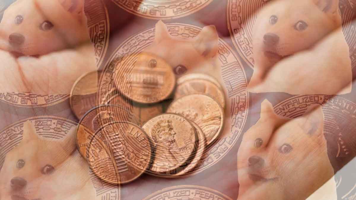 penny stocks to buy DOGE day