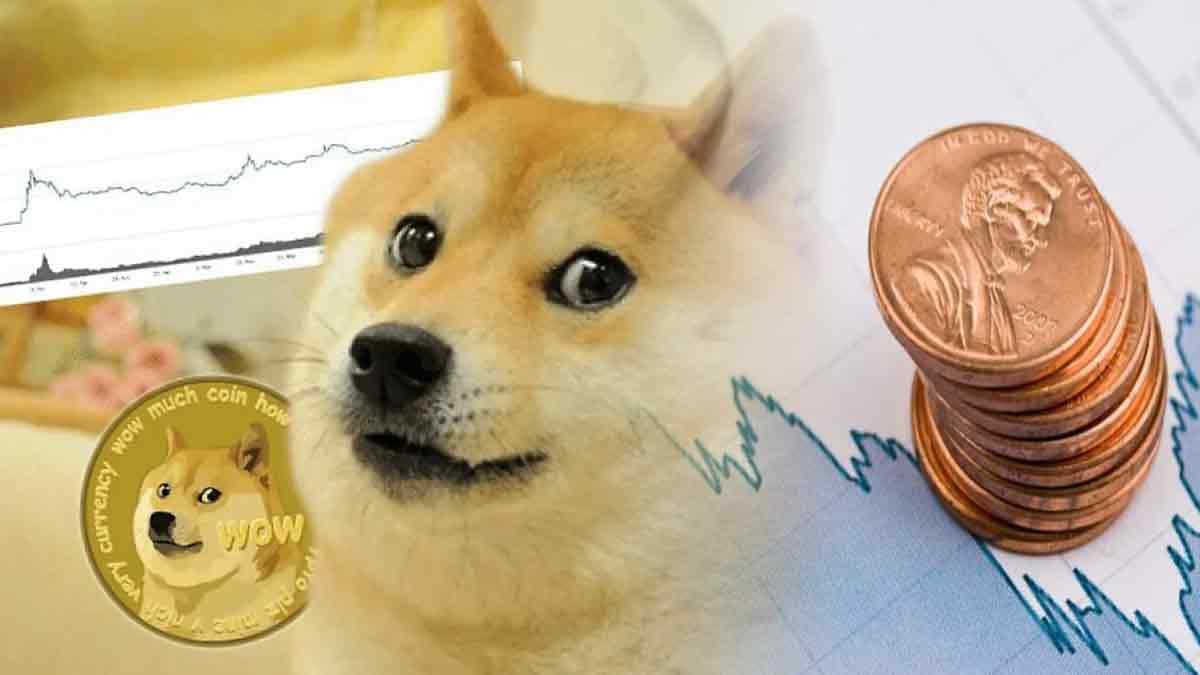 doge penny stocks to watch