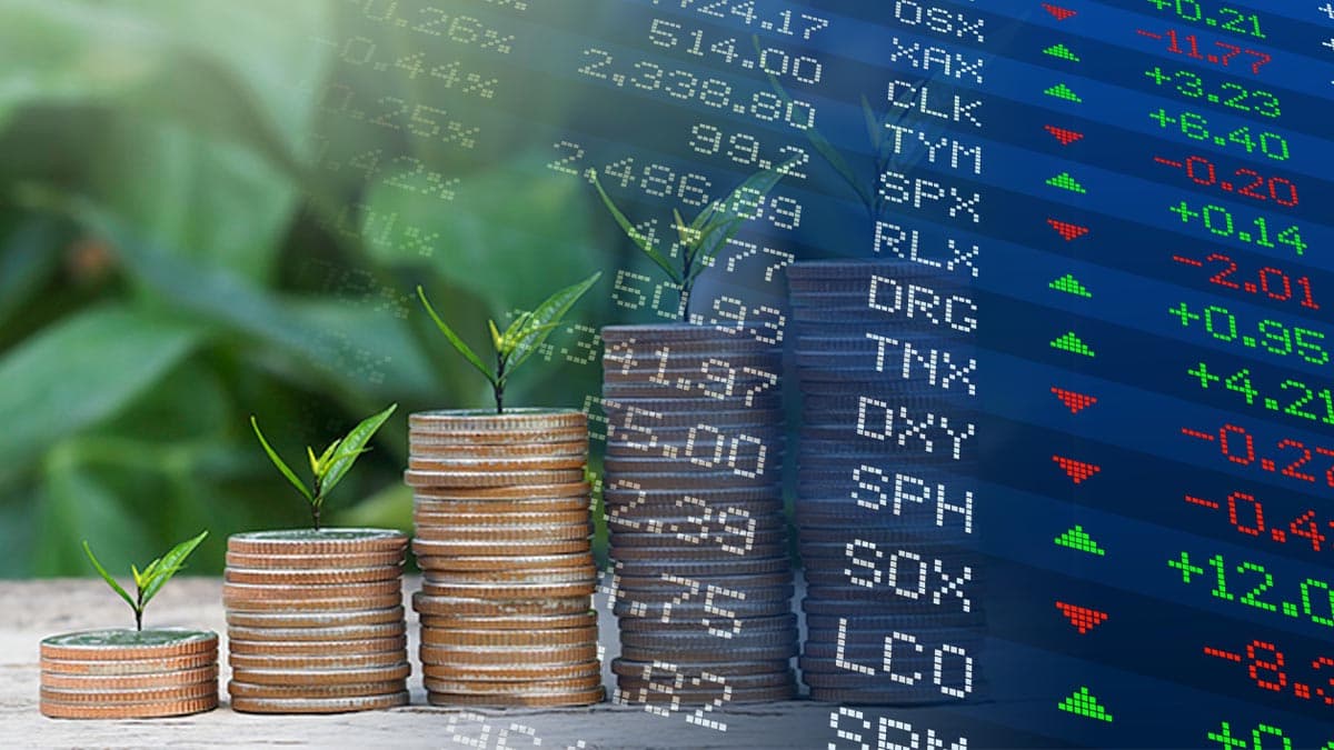 best penny stocks buy now