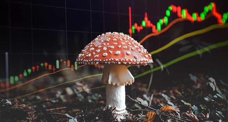 psychedelic mushroom stocks to watch this year