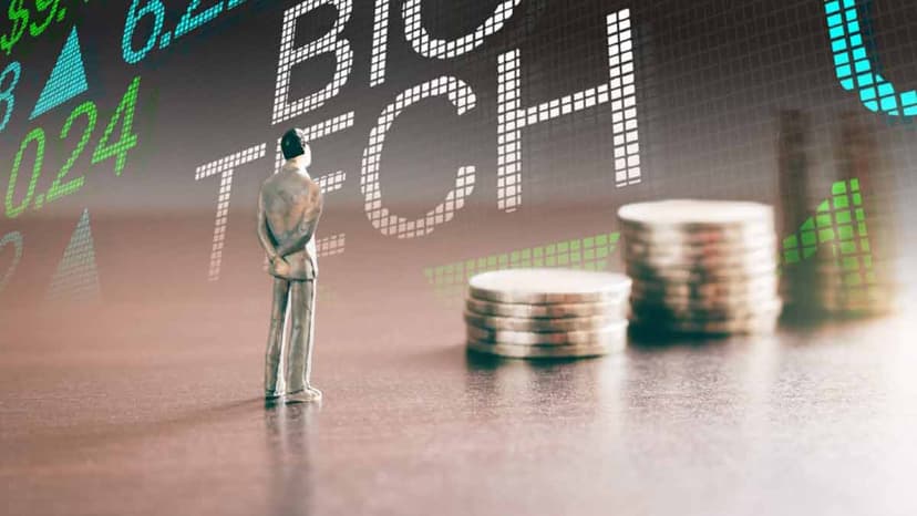 3 Penny Stocks To Buy According To Insiders In December