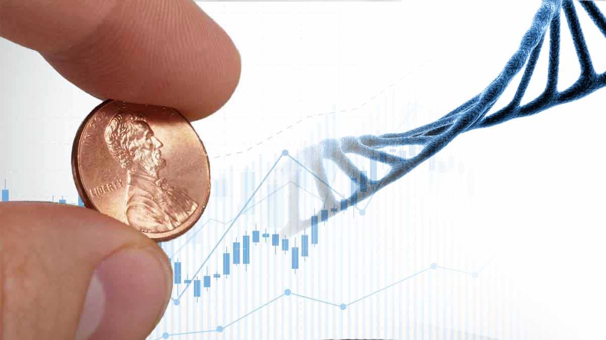 best penny stocks to watch right now biotech dna