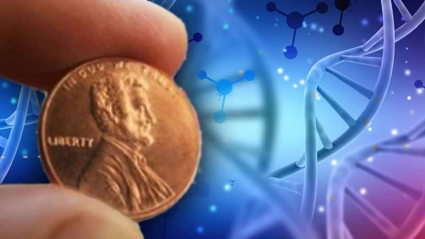 3 Tech Industries to Find Penny Stocks In