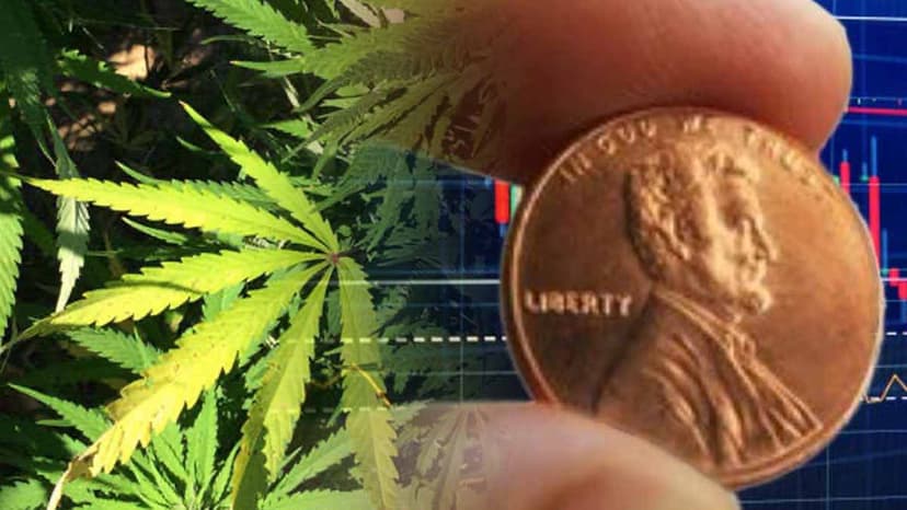 Marijuana Penny Stocks Buying Guide: Do’s and Don’ts