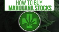 how to buy marijuana stocks