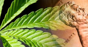 marijuana penny stocks to watch