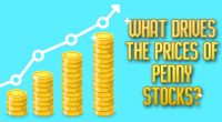 price penny stocks
