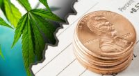 marijuana penny stocks to buy
