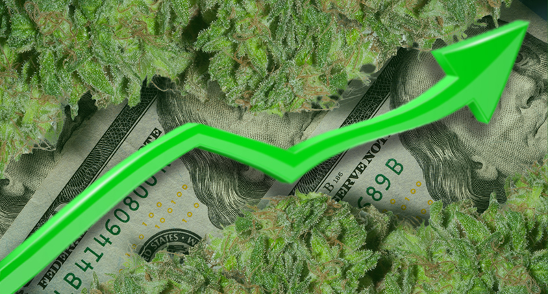 marijuana stocks top penny stocks to watch