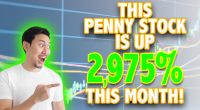penny stock make money july