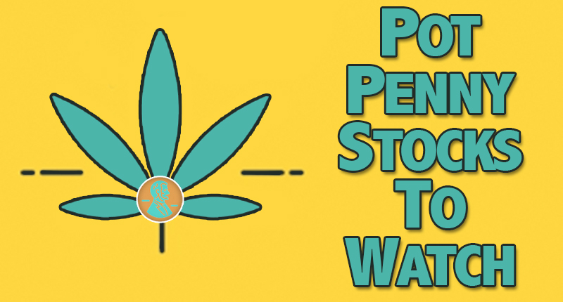 pot penny stocks to watch