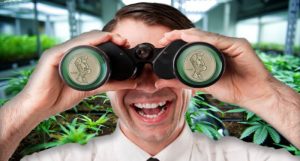 pot stocks to watch