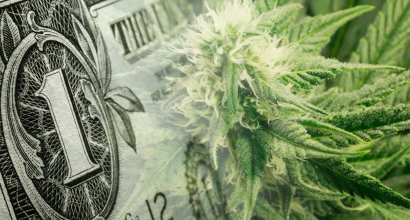 marijuana stocks to buy FLWR