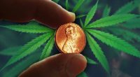 penny stocks to watch in cannabis industry
