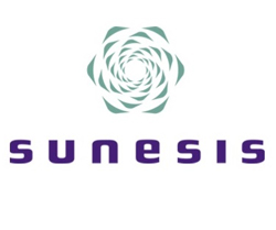 penny stocks to buy Sunesis Pharmaceuticals Inc. (SNSS) 