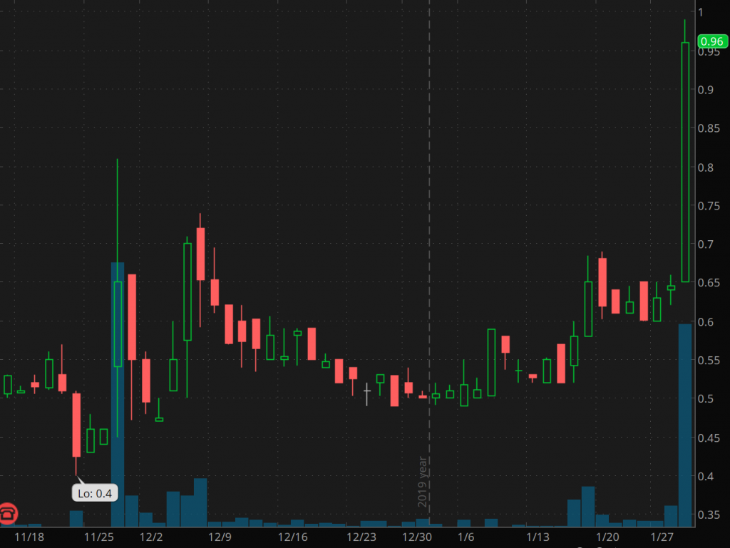 penny stocks to buy sell BIO-key (BKYI)