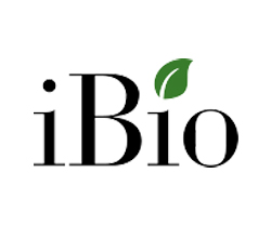 penny stocks to buy sell iBio Inc. (IBIO)