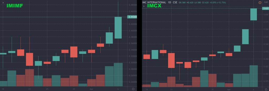 penny stocks to watch IMCX IMIMF