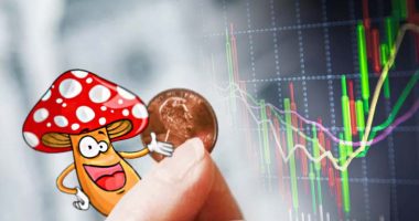psychedelic mushroom penny stocks to watch right now