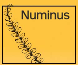psychedelic stocks to watch Numinus (NUMI stock)