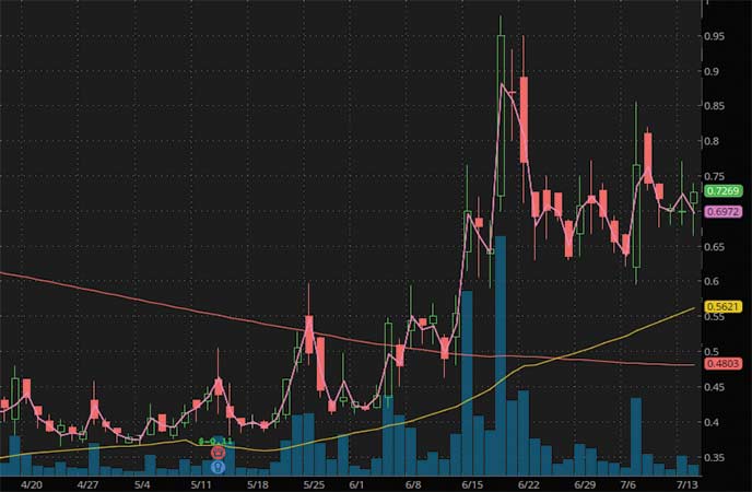 robinhood penny stocks to watch Biocept Inc. (BIOC stock chart)