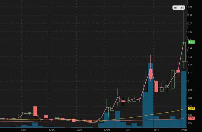 trading penny stocks Oragenics Inc. (OGEN stock chart)