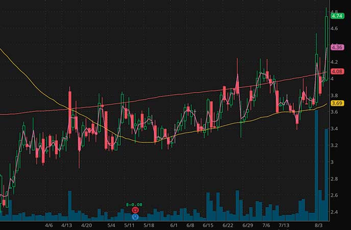 high volume penny stocks Xunlei Limited (XNET stock chart)
