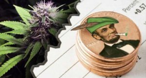 marijuana penny stocks on robinhood