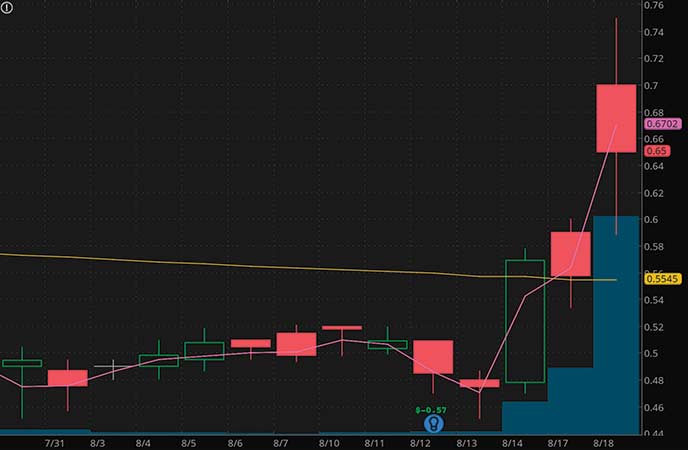 penny stocks on robinhood to watch 9 Meters Biopharma Inc. (NMTR stock chart)