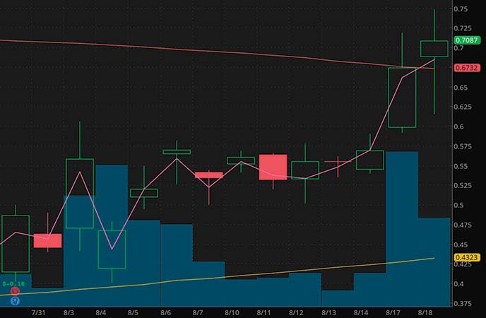 penny stocks on robinhood to watch Avinger Inc. (AVGR stock chart)