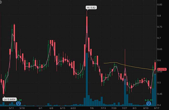 penny stocks to buy insider trading 9 Meters Biopharma Inc. (NMTR stock chart)
