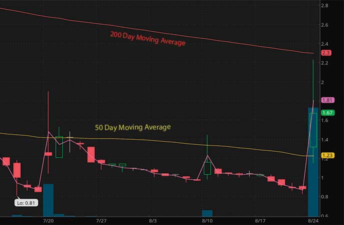 penny stocks to watch august Borqs Technologies Inc. (BRQS stock chart)