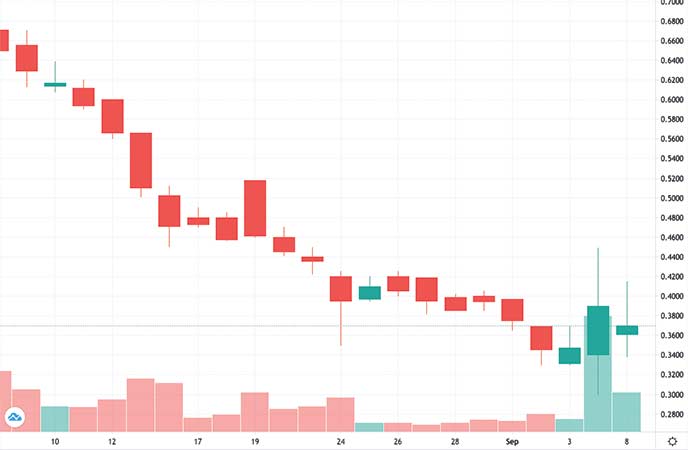 biotech penny stocks to watch Check-Cap Ltd. (CHEK stock chart)