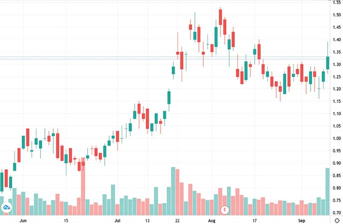 gold penny stocks to watch McEwan Mining Inc. (MUX stock chart)