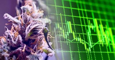 marijuana penny stocks to watch
