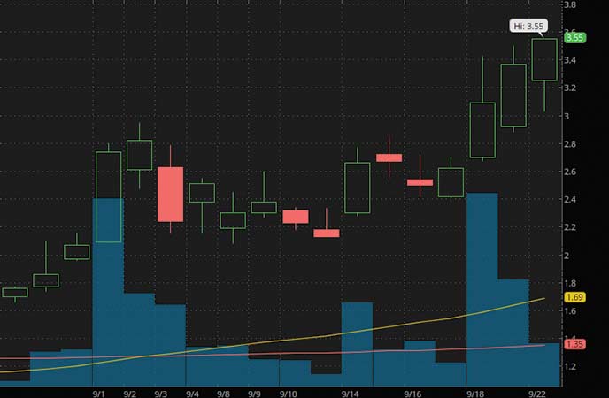 penny stocks on robinhood to watch right now Evogene Ltd. (EVGN stock chart)