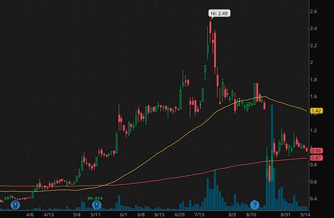 penny stocks to watch Northern Dynasty Minerals Ltd. (NAK stock chart)