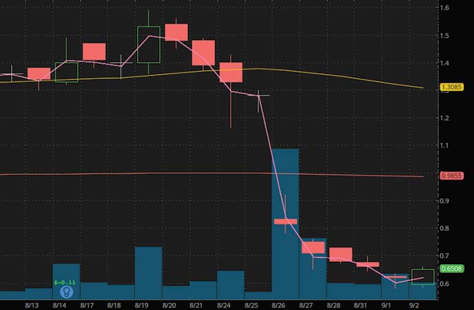 penny stocks to watch Outlook Theraoeutics Inc. (OTLK stock chart)