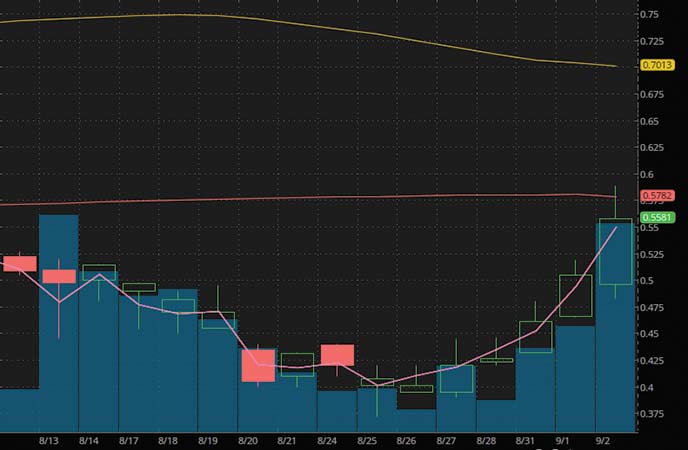 penny stocks to watch Senmiao Technology Ltd (AIHS stock chart)