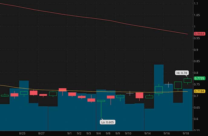 penny stocks under 1 dollar on Robinhood Hexo Corp. (HEXO stock chart)