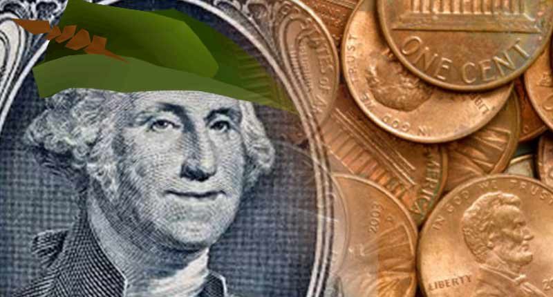 penny stocks under 1 dollar on robinhood