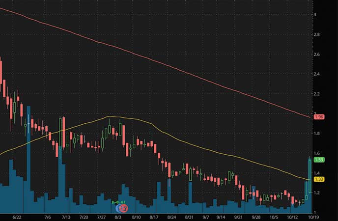 epicenter penny stocks to buy avoid Pioneer Drive Shack Inc. (DS stock chart)