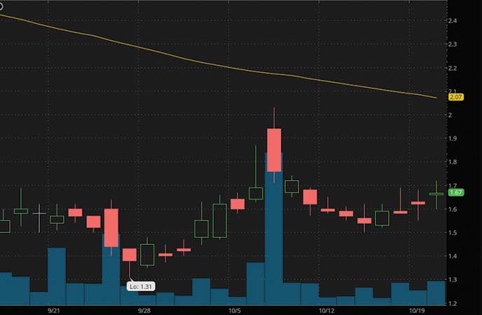 epicenter penny stocks to buy avoid Pioneer Muscle Maker Inc. (GRIL stock chart)