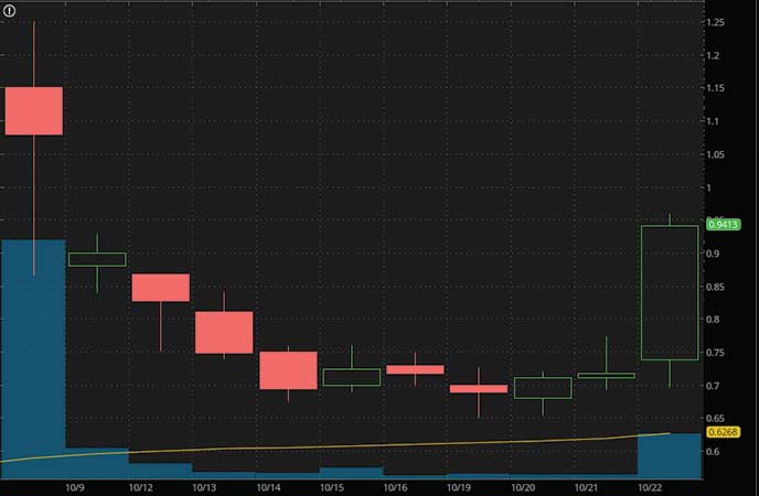 penny stocks on robinhood to buy under1 dollar Orbital Energy Group Inc. (OEG stock chart)