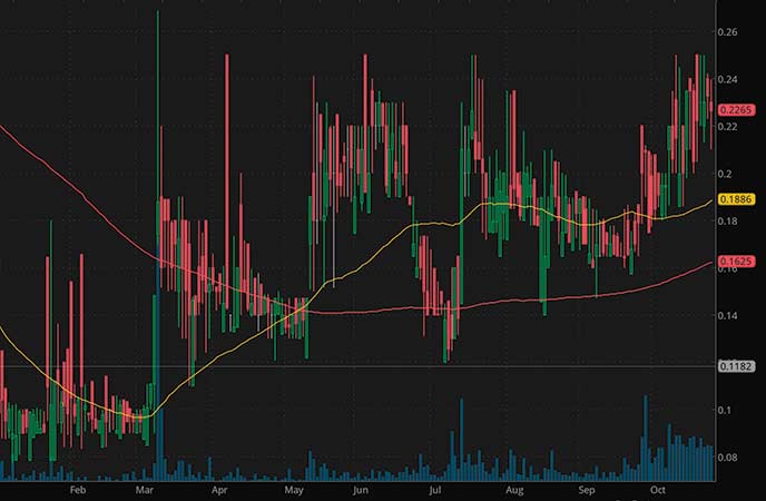 penny stocks to watch GT Biopharma Inc. (GTBP stock chart)