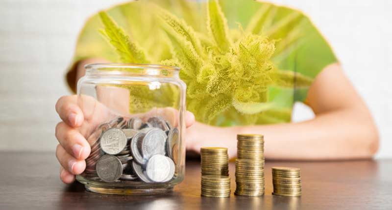 best marijuana penny stocks to buy right now