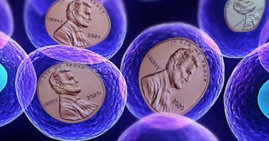 biotech penny stocks to watch psychedelics cells