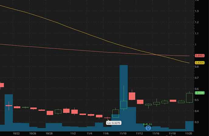 penny stocks to buy analyst forecast Zosano Pharma Corp. (ZSAN stock chart)