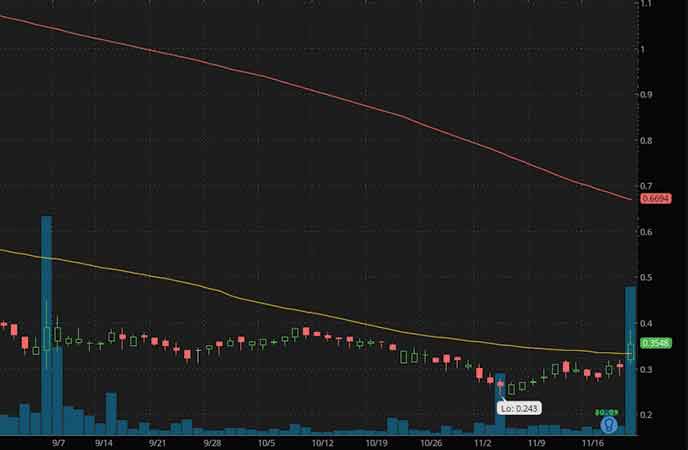 penny stocks to buy right now Check-Cap Ltd. (CHEK stock chart)