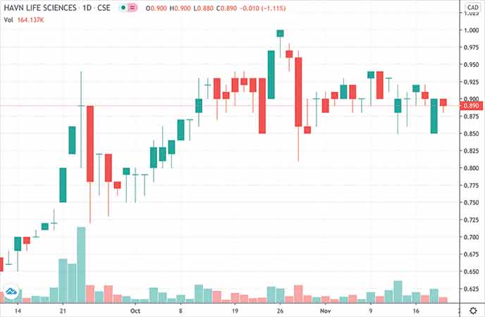 penny stocks to watch under $1 Havn Life Sciences (HAVLF stock chart)